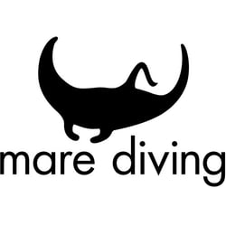 Logodesign für einen Taucher