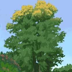 baum-hirschpark-allee