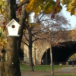 Vogelhaus am Rhein 2