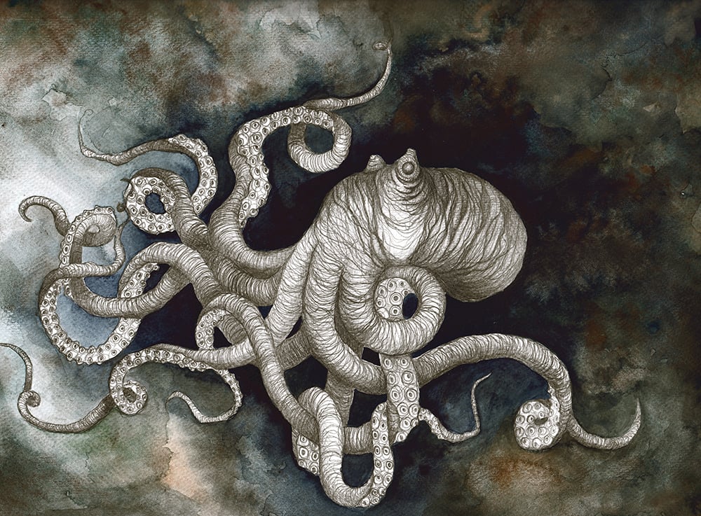 kraken 03 1000