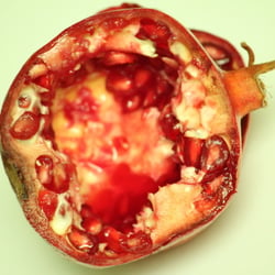 Granatapfel November 2012
