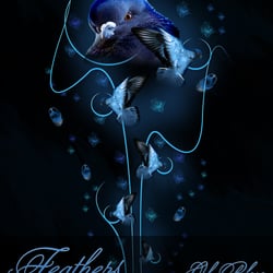 Plakat A4