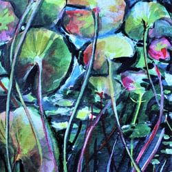 Aquarell Seerosen/ Postkarte