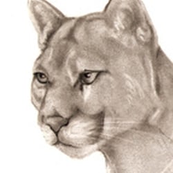 boceto03vr