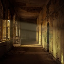Ray of Light