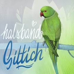 18-Insta-Halsbandsittich