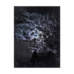 NACHT – ZAPPENDUSTER