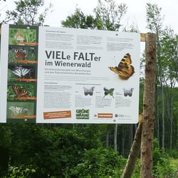 Info-Tafel auf der Sophienalpe (Kooperation Wien Energie + Österr. Bundesforste)