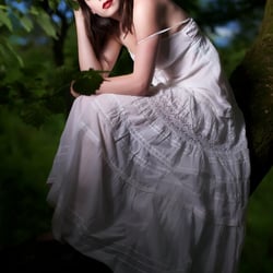 In the Tree
