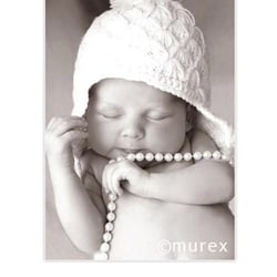 murex13