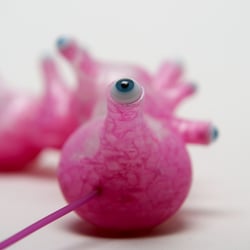 AnemoneUngeordnet 2