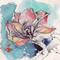 Amaryllis für das Katalog „Botanik“.