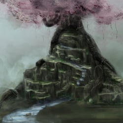 Home of the birds (The Main-Tree)