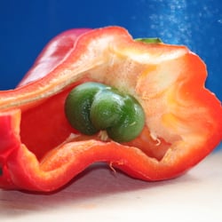 Food Fotografie 2012 Paprika in Farbe No 12