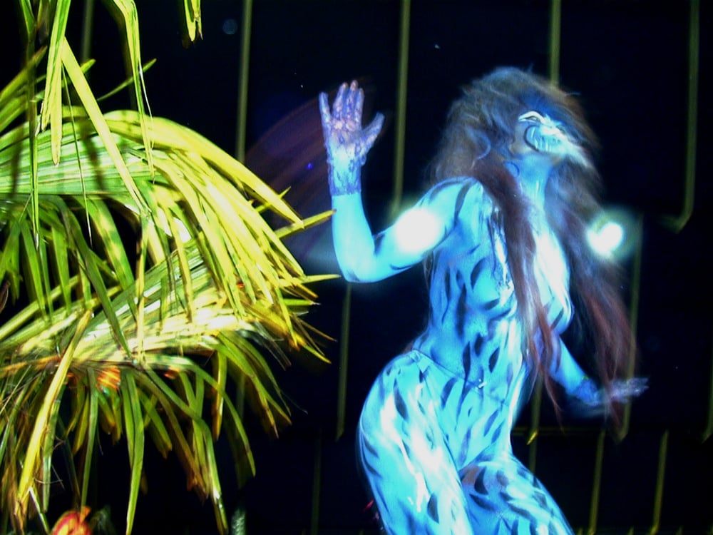 Bodypaint Cat Tanz Act