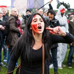 Domestic extremist