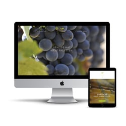 Webdesign, responsive CSS, Revolution Slider, individuelle Theme Entwicklung – www.vinisumisura.com