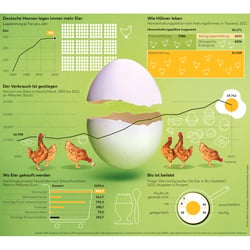 Infografik für WELT AM SONNTAG