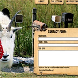 Website