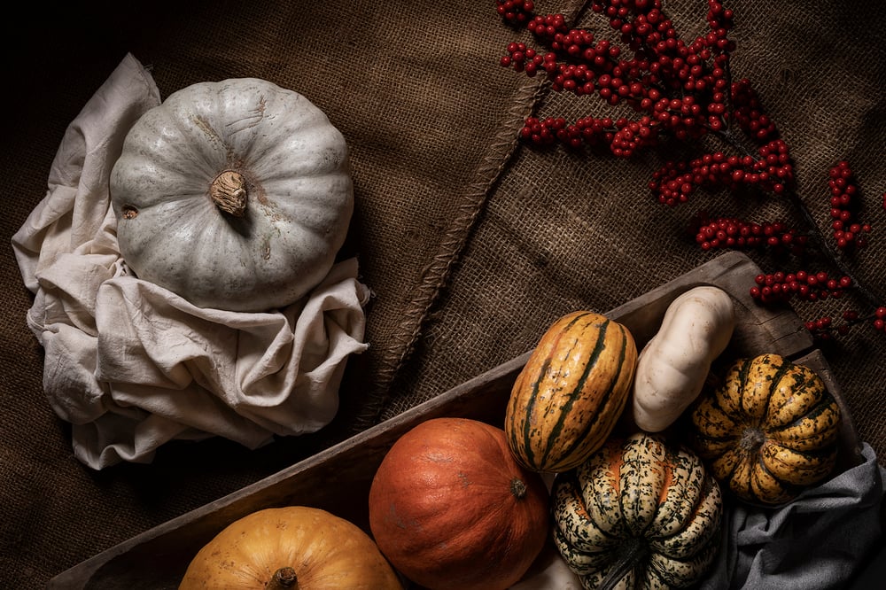 Autumn Editorial – Pumpkin