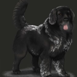 Schwarzer Olporter
