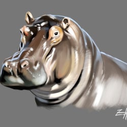 Hippo