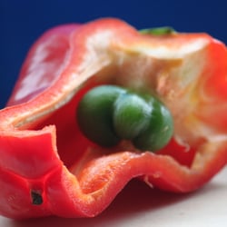 Food Fotografie 2012