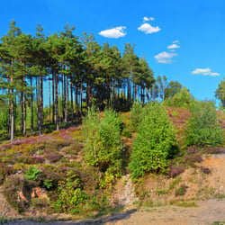 Heidepanorama (Fotomontage aus 38 Einzelaufnahmen, Original im Riesenformat)