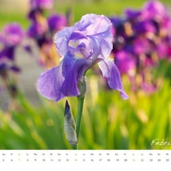Februar