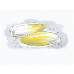 004 Food