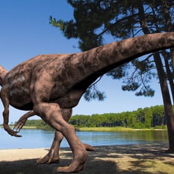 Barionyx