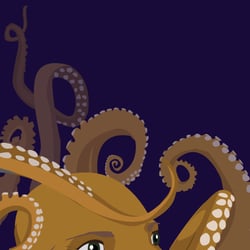 Adobe Illustrator