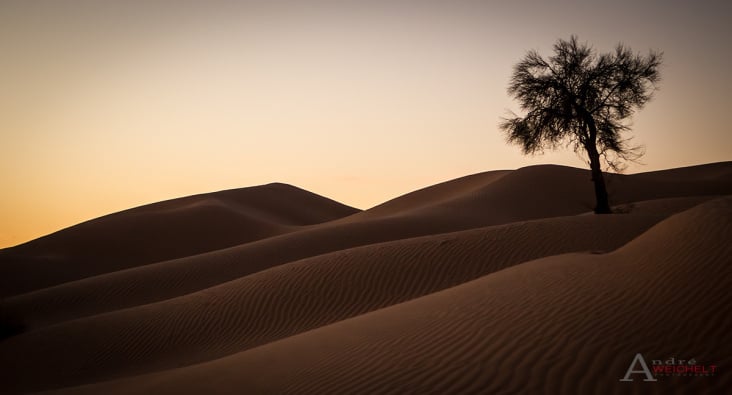 Sahara
