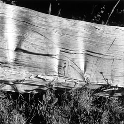 LM 0201 Lago Correntoso, Neuquén, Dezember 1999