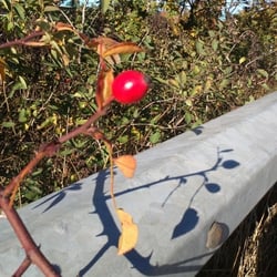 Herbst…Oktober 2012 Teil 02