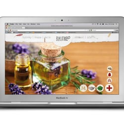 Web / Herbs in the city / Web Design