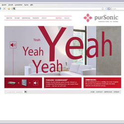 Webdesign – Webdesign purSonic (Kunde: die Crew am Bodensee)