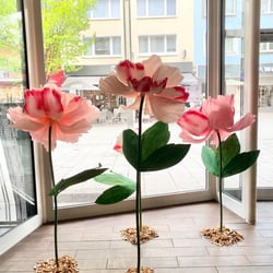 Hagen blüht auf