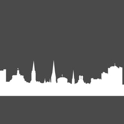 VEKTORGRAFIK // skyline bonn