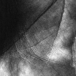 close-up