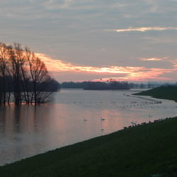DSCN4042