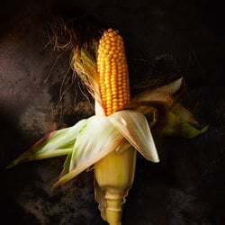 Corn