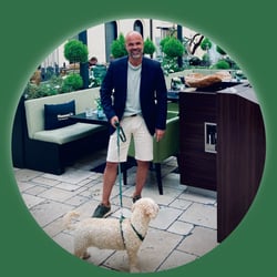 WERBEREITER WERBEAGENTUR HANNOVER – AUF DEN HUND GEKOMMEN