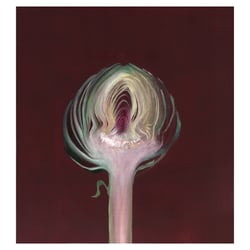 Artischocke