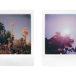 Polaroid
