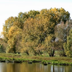 Zwischen Klein Ilsede und Hanndorf 5