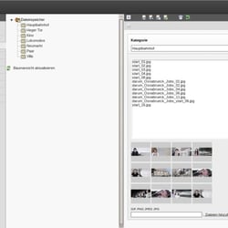 Backend-Modul