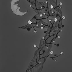Illustration 2