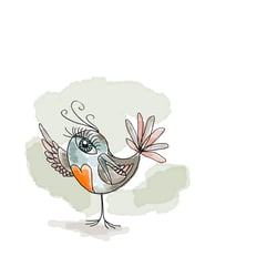 Rotkehlchen/Robin