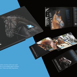 Landgestüt Freising – Corporate Design